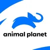Afbeelding van Animal Planet